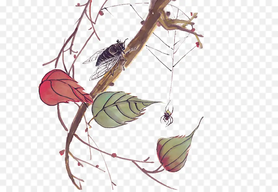 Insectos，Rama PNG