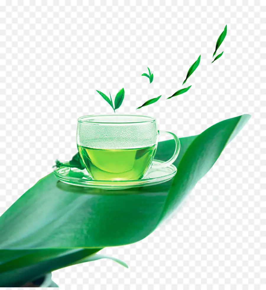 Té，Té Verde PNG