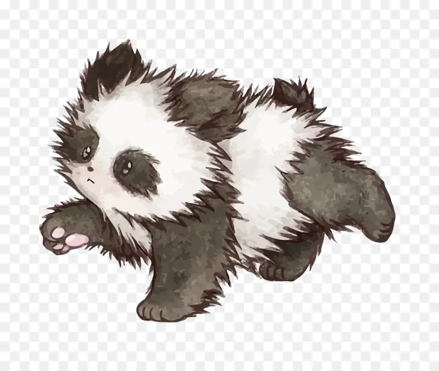 El Panda Gigante，El Panda Rojo PNG