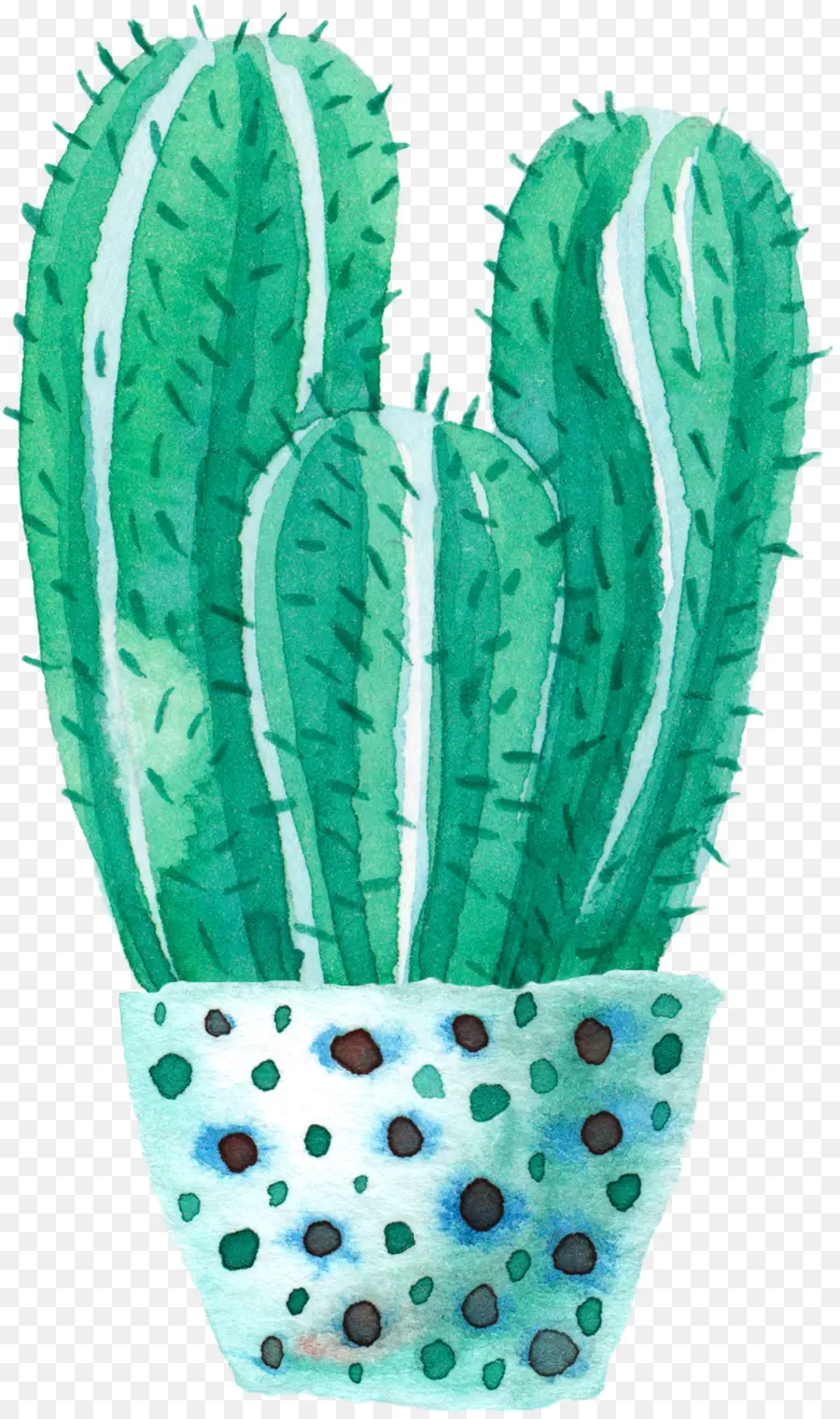 Cactaceae，Pintura A La Acuarela PNG