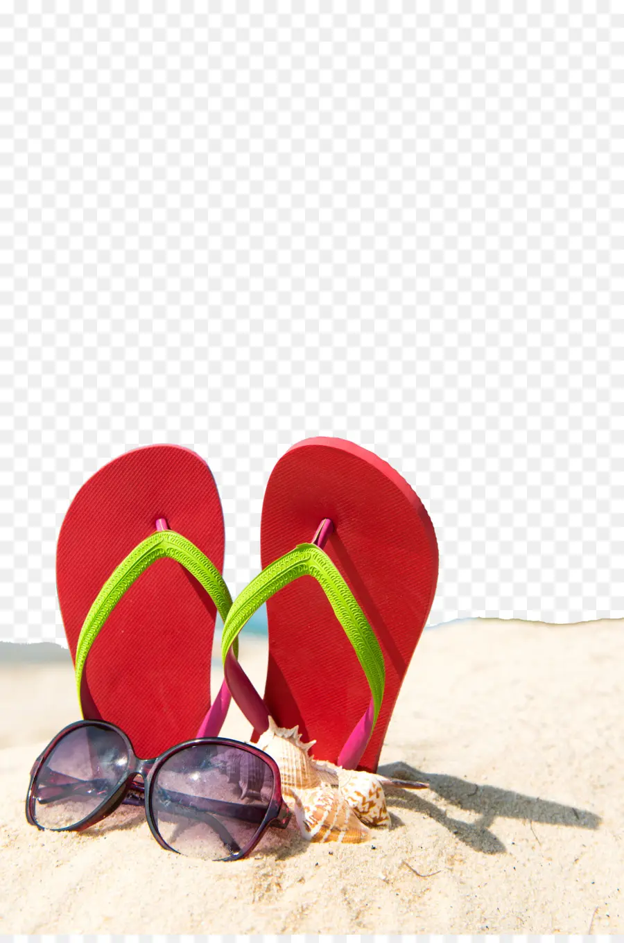 Zapatilla，Verano PNG