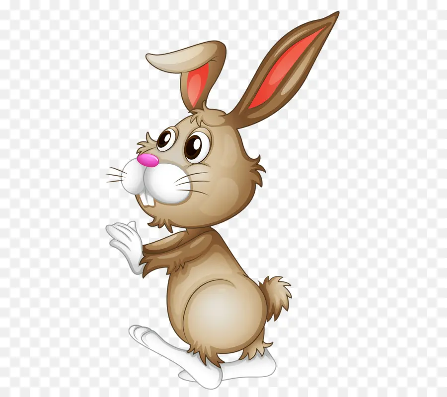 Conejito De Pascua，Pascua PNG