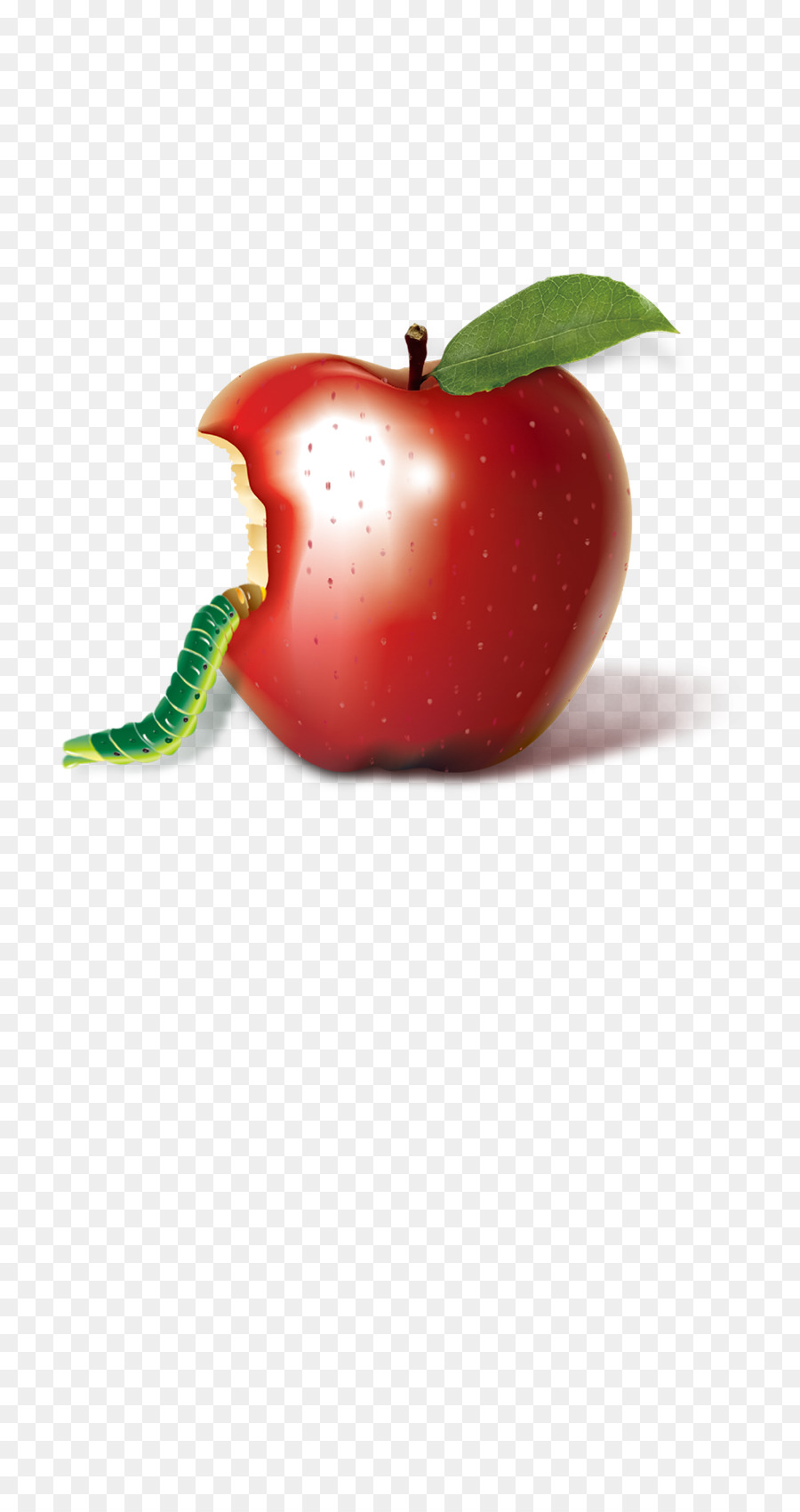 Manzana Roja，Gusano PNG