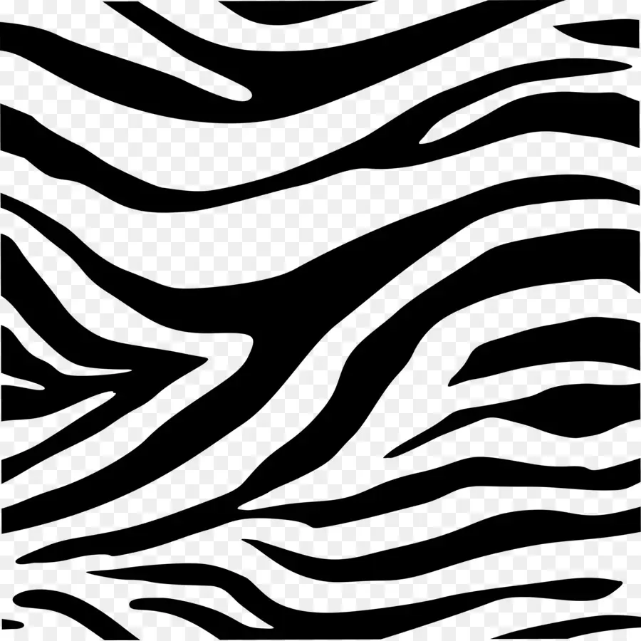 Zebra，Servilleta PNG