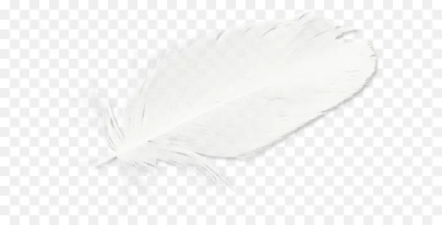 Blanco，Pluma PNG