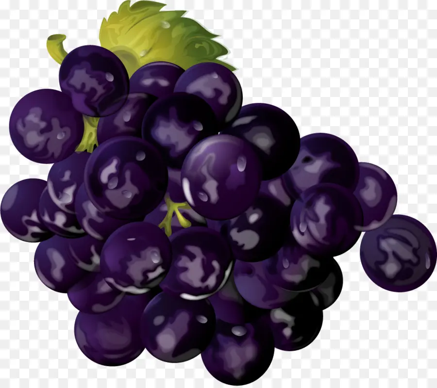 Uvas，Enredadera PNG