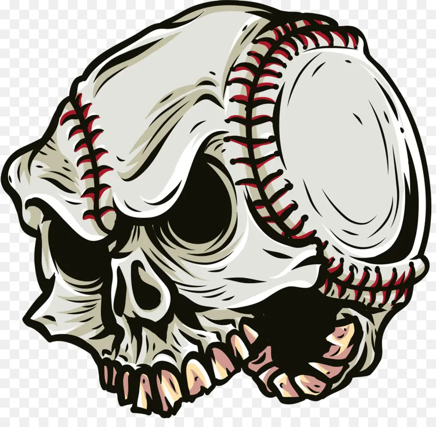 Béisbol Calavera，Deportes PNG