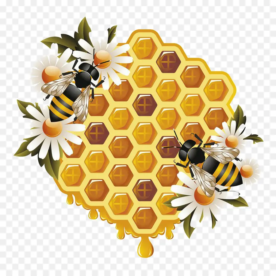 Abeja，Panal PNG