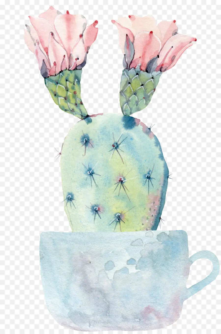 Cactus，Flor PNG