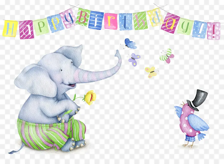 Elefante Y Pájaro，Cumpleaños PNG