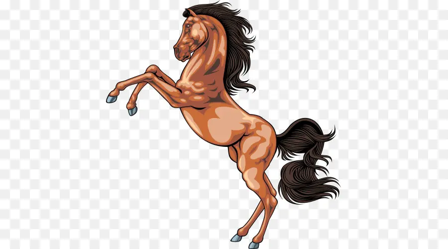 Caballo，Melena PNG