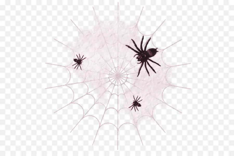 Telaraña，Web PNG