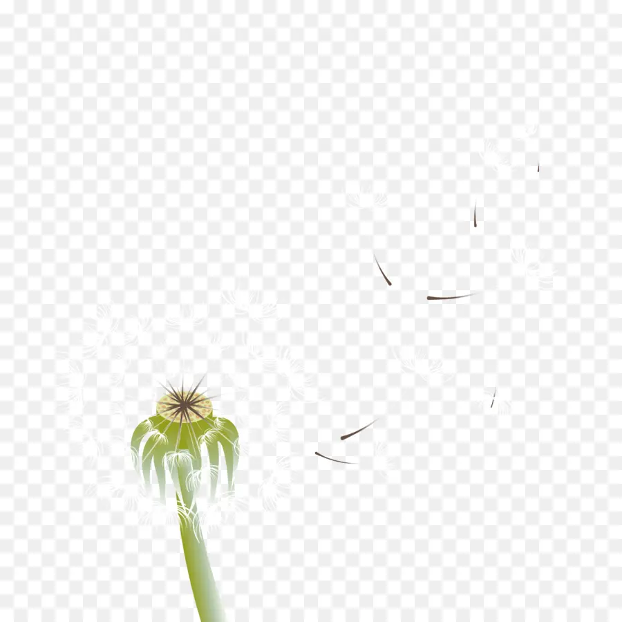 Diente De León，Semillas PNG