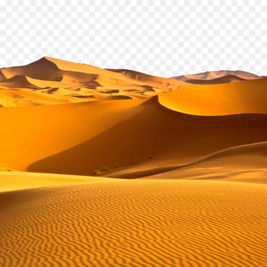 Sahara，Desierto De Arabia PNG