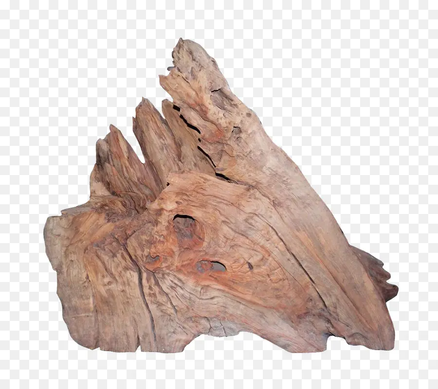 Tronco De Madera，Natural PNG