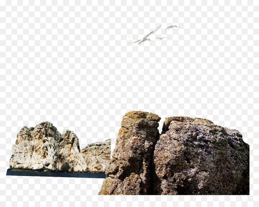 Rocas，Gaviotas PNG