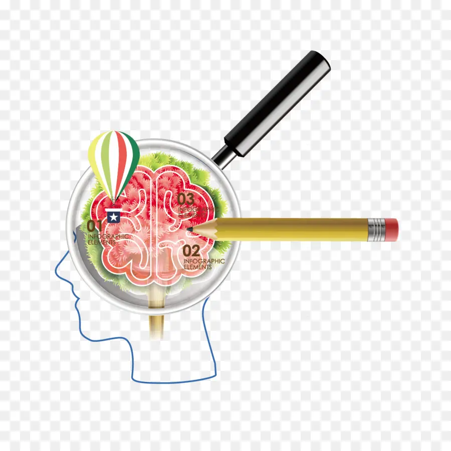 Ilustración Del Cerebro，Lupa PNG