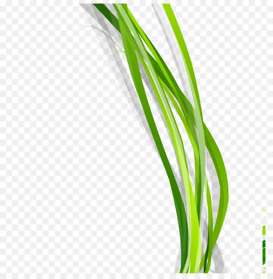 Hojas Verdes，Planta PNG