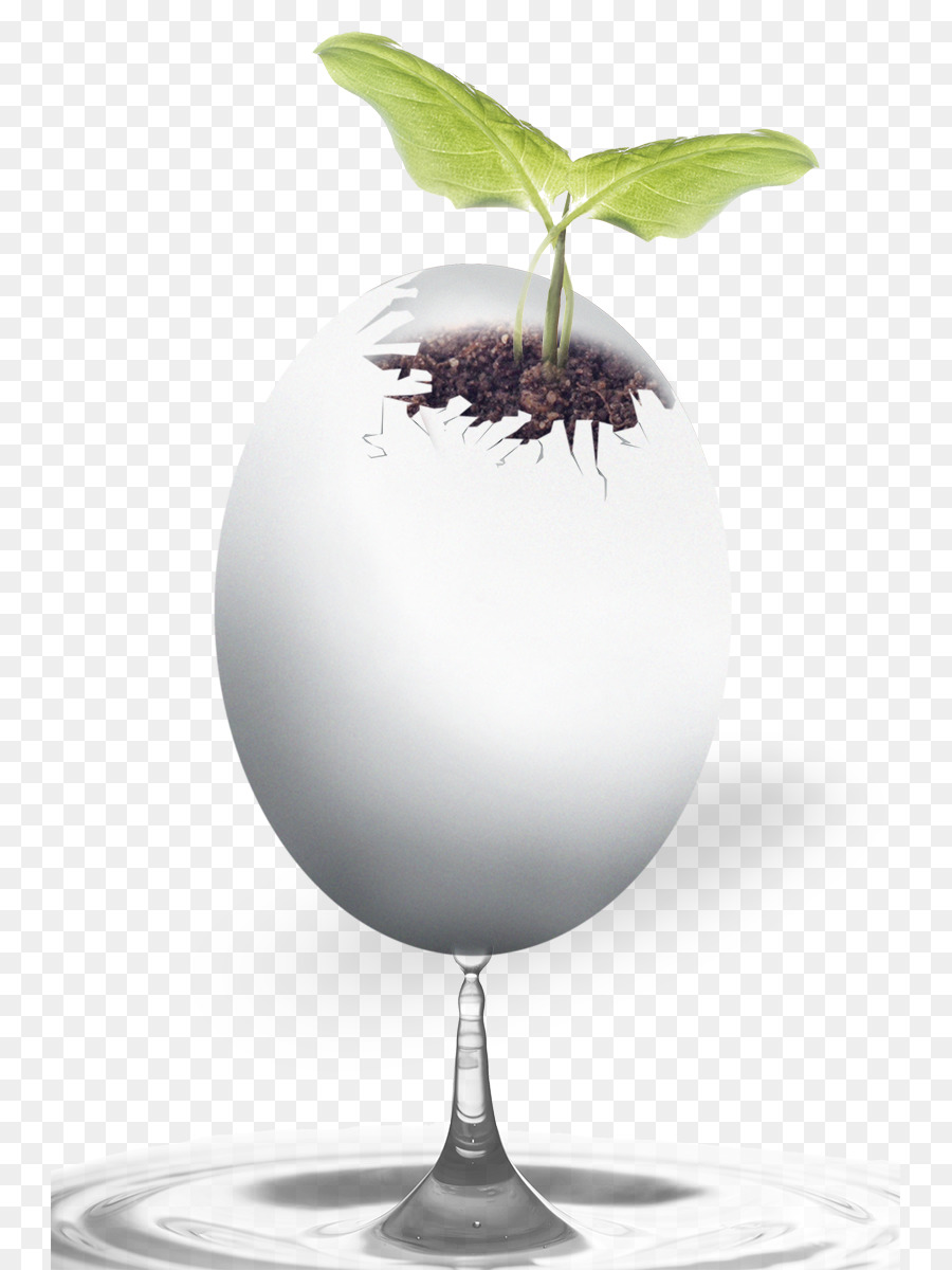 Huevo Con Planta，Crecimiento PNG