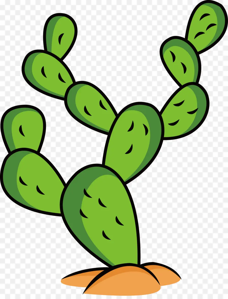 Cactus，Verde PNG