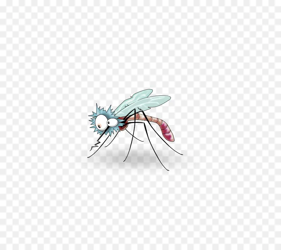 Mosquito，Los Insectos PNG