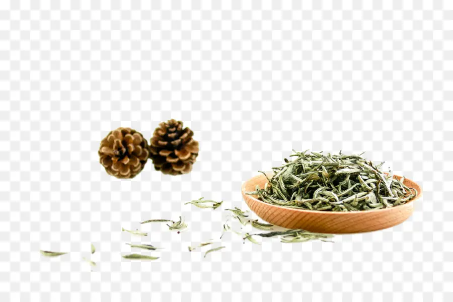 Té，Té Verde PNG