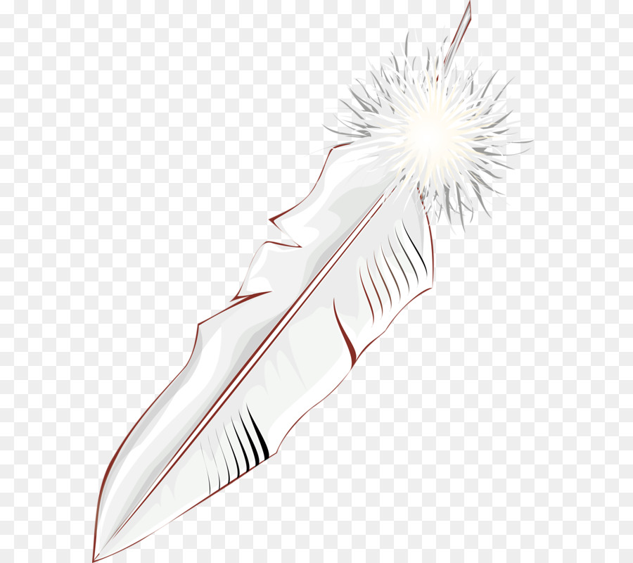 Pluma，Blanco PNG