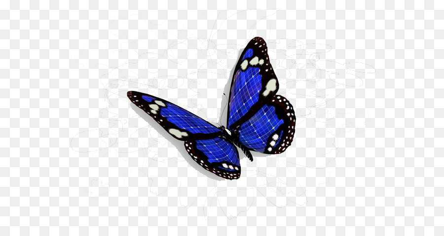 Mariposa，Azul PNG