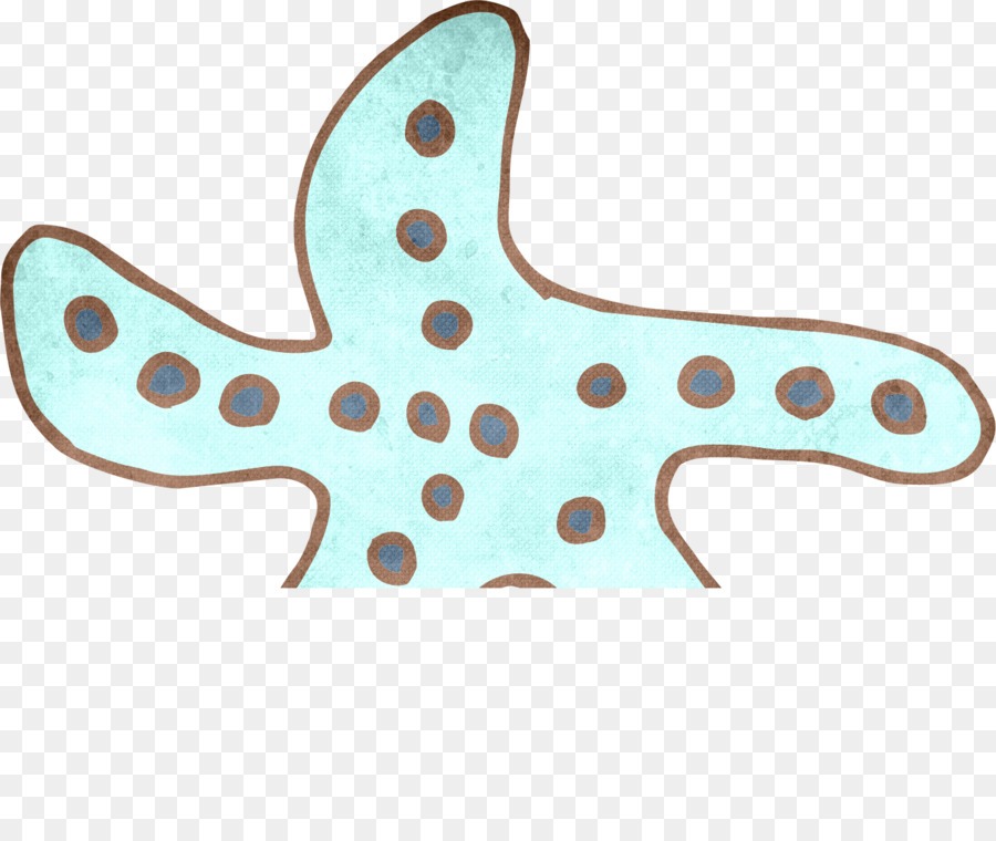 Estrella De Mar，De Dibujos Animados PNG