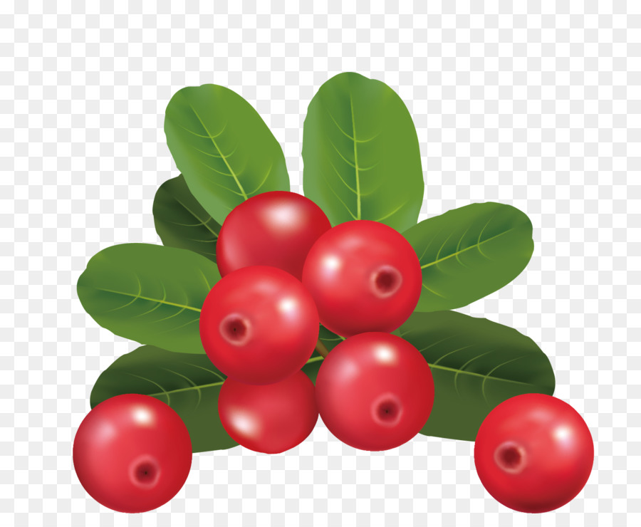 Cherry，Berry PNG