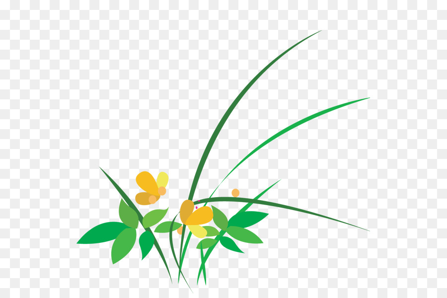 Flor，Dibujo PNG