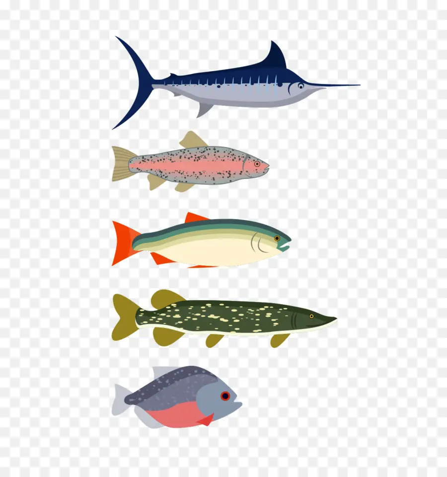 Varios Peces，Pez PNG