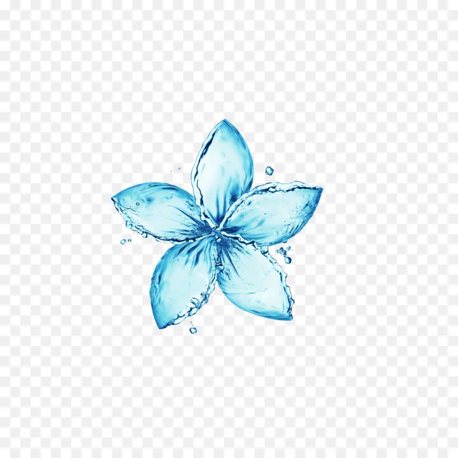 Flor，Agua PNG