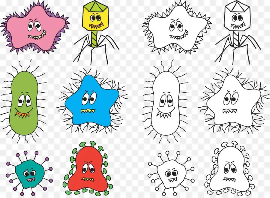 Las Bacterias，Dibujo PNG