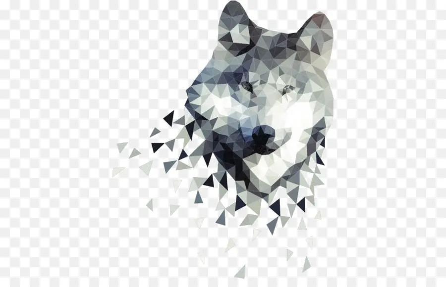 Lobo Gris，El Perro Salvaje Africano PNG