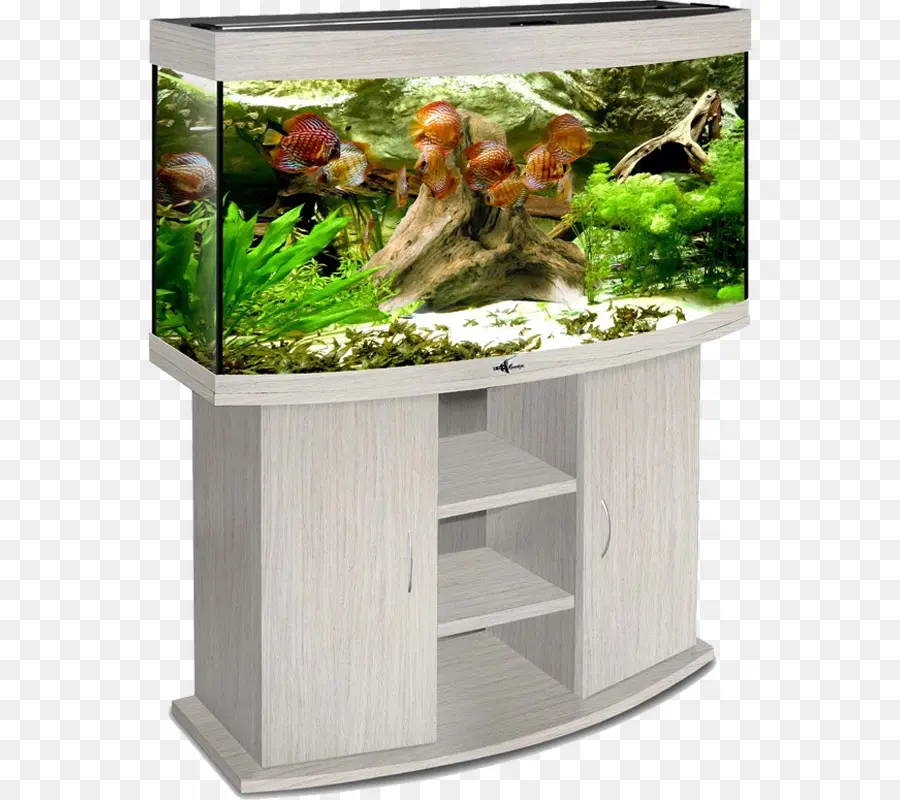 Acuario，Mosakvarium PNG