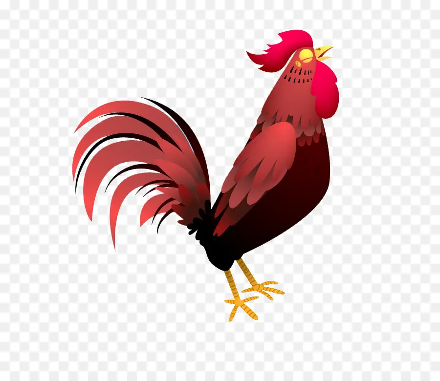 Gallo，Pollo PNG