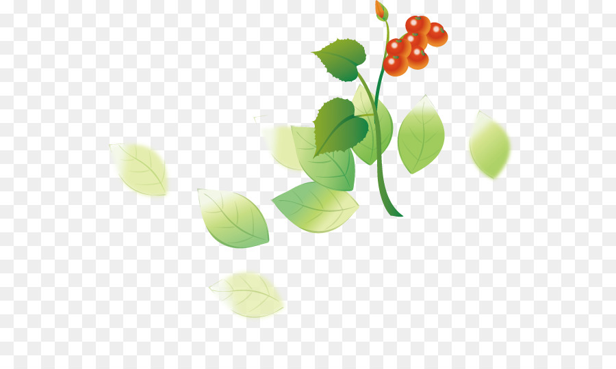 Tomate Cherry，La Fruta PNG