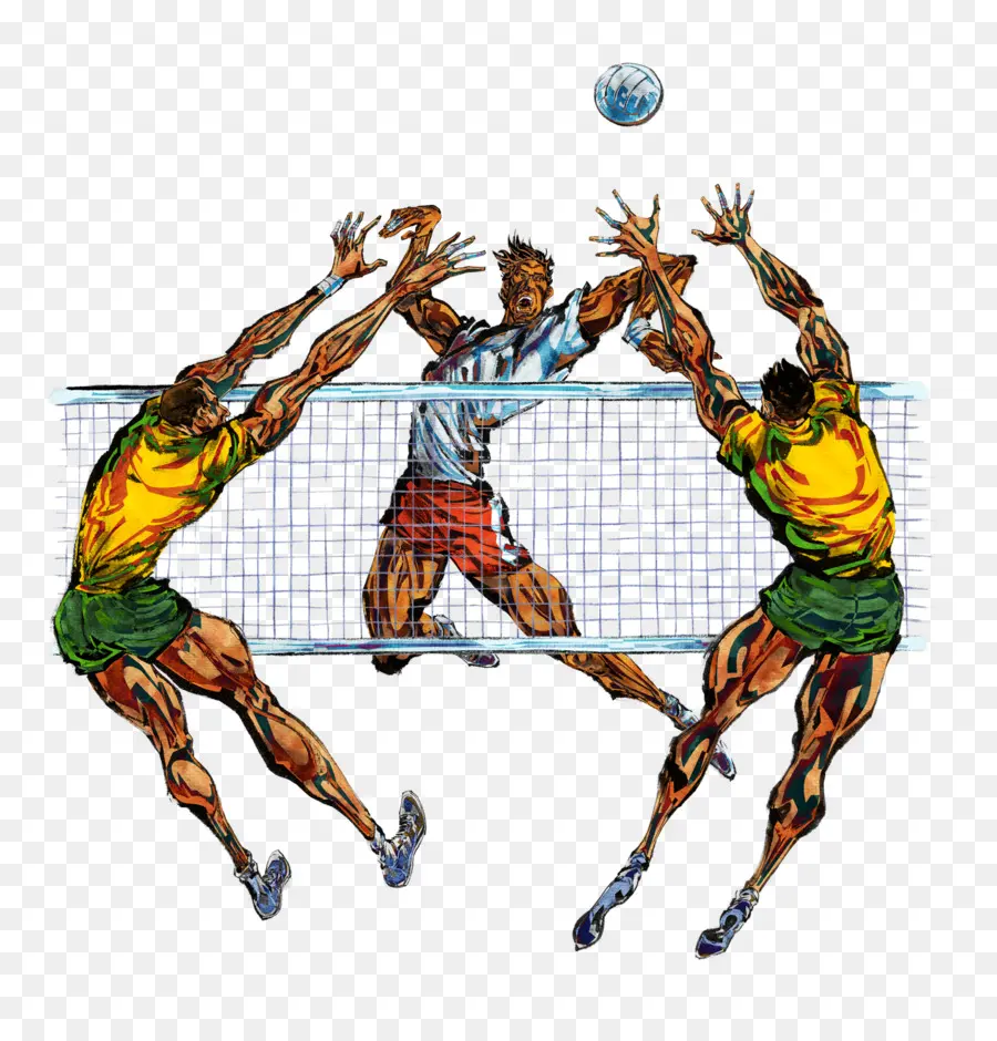 Juego De Voleibol，Voleibol PNG