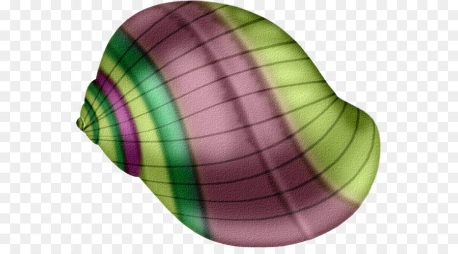 Caracol De Mar，La Concha PNG