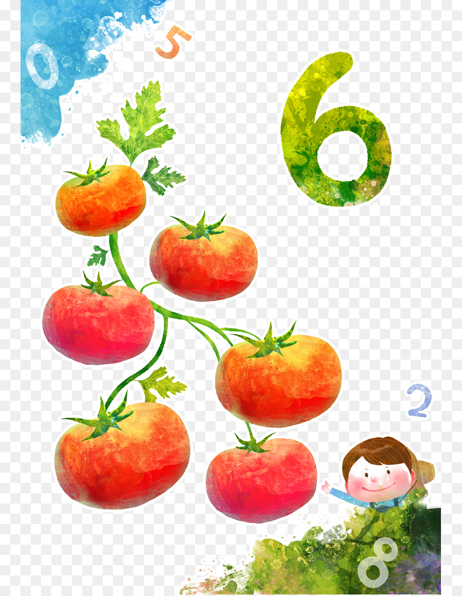 Tomates，Enredadera PNG