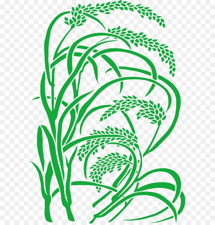 Plantas De Arroz，Agricultura PNG