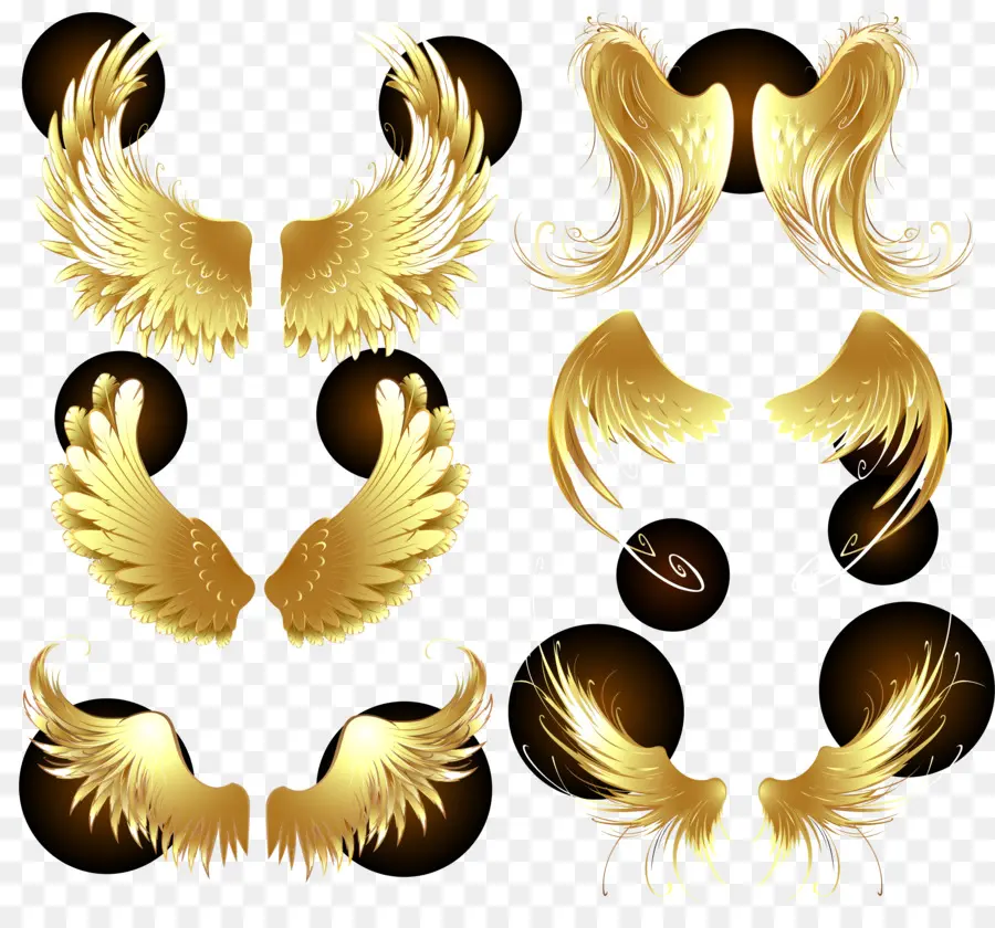 Alas Doradas，Plumas PNG