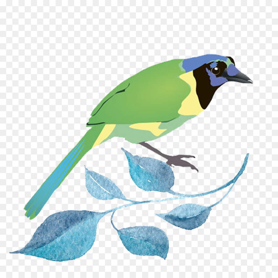 Pájaro，Royaltyfree PNG