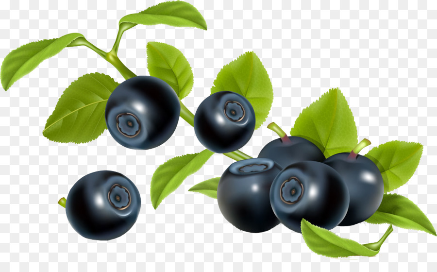 Arándanos，Berry PNG