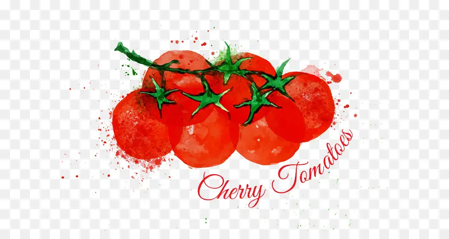 Tomate Cherry，Pintura A La Acuarela PNG