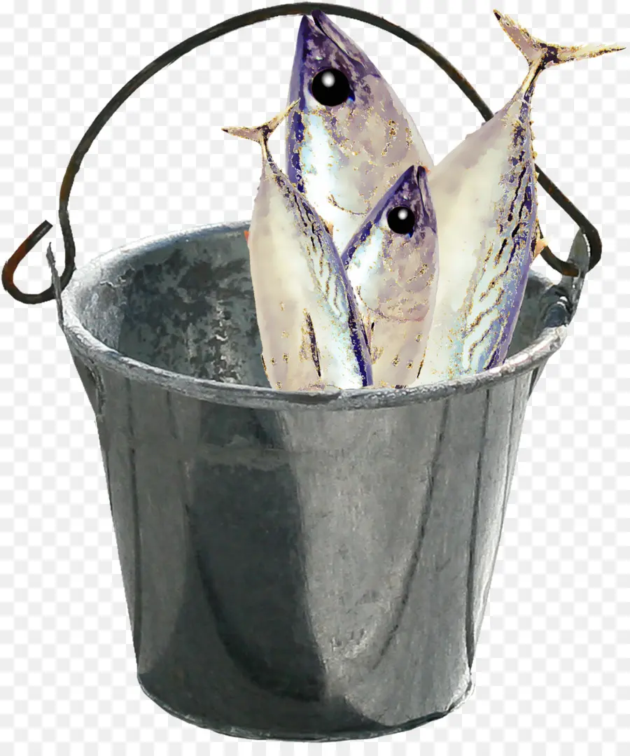 Cubo De Pescado，Balde PNG