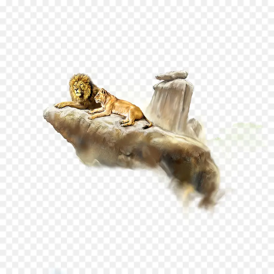 León，Descargar PNG