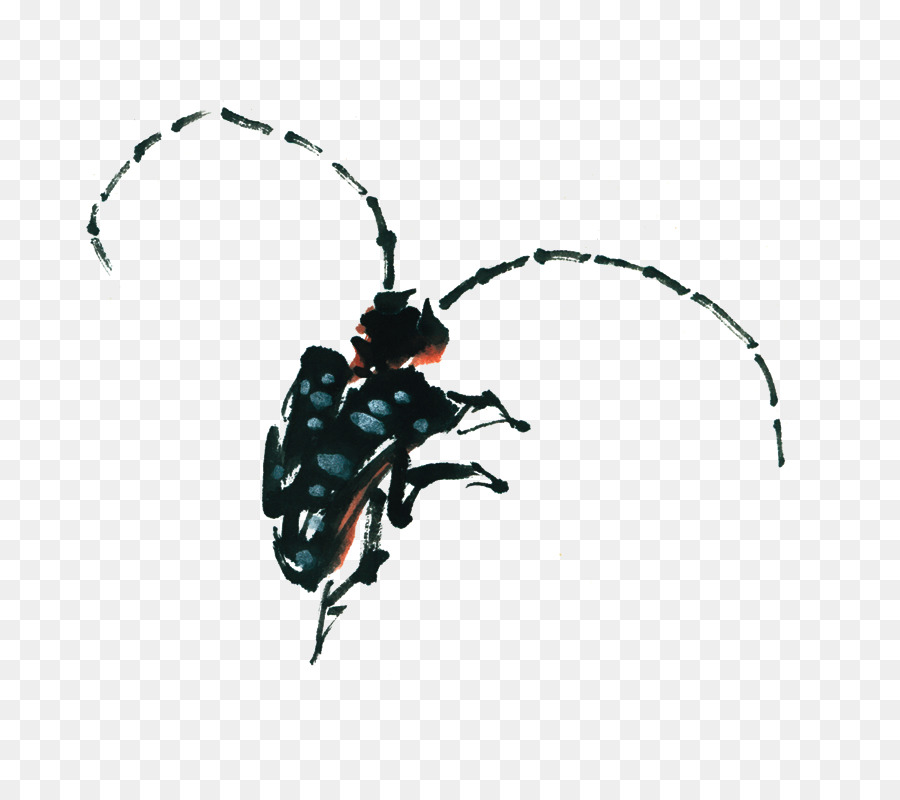 Escarabajo，Antena PNG
