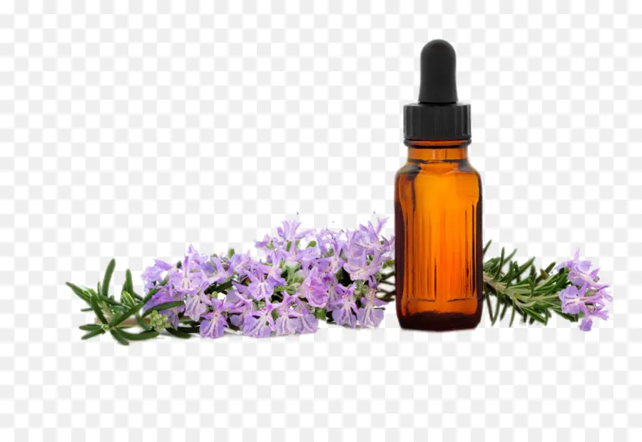 Aceite Esencial，El Aceite De Lavanda PNG